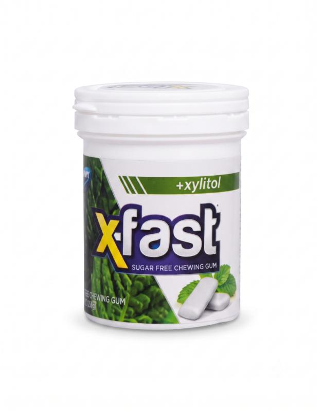 Sugar Free Chewing Gum X-fast Mint 24 gr.