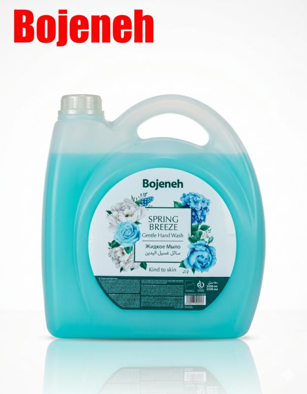 Bojeneh Spring Breeze Gentle Hand Wash
